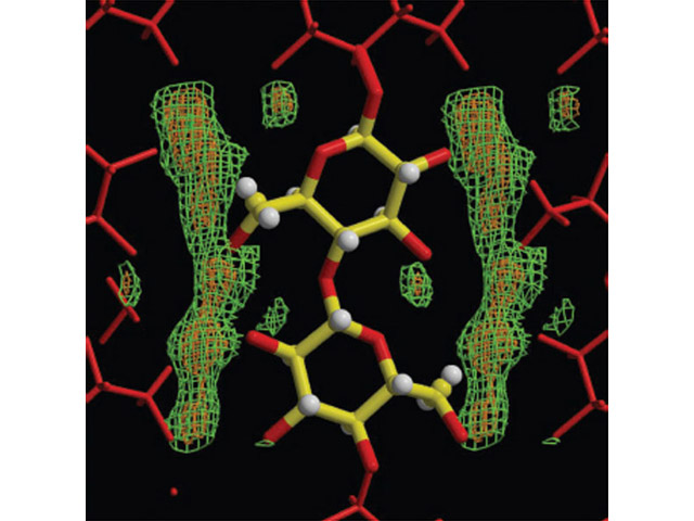1- Fourier difference map for cellulose calculated with neutron data recorded from D19The map shows density associated with the cellulose hydroxyl groups.