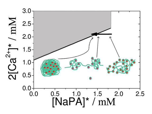 Phase diagram of NaPA in the presence of Ca in an acqueous 0.01M NaCl solution.The grey region marks the 2 phase region, i.e. precipitation of CaPA occurs. The horizontal arrow marks the approach of the phase boundary. Below, observed NaPA