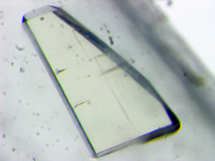 A perdeuterated protein crystal