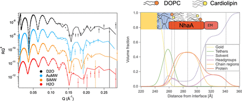 10.1021.acs.langmuir.1c00119.gif