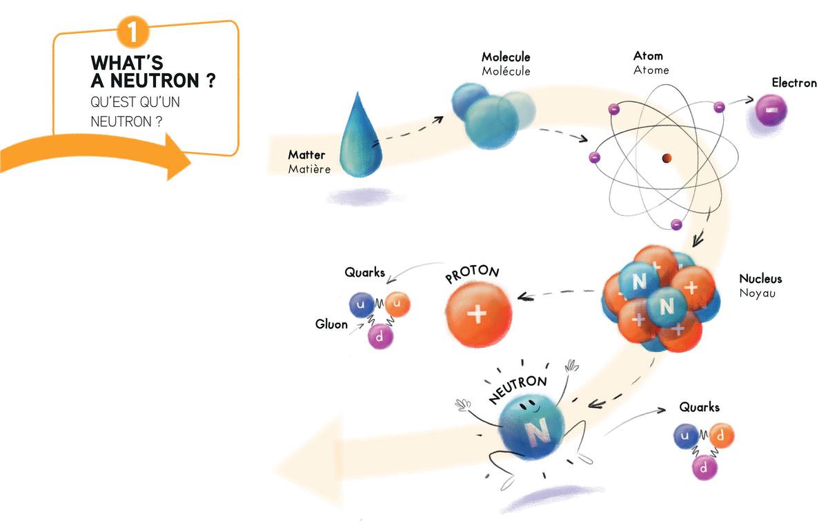 1 What is Neutrons