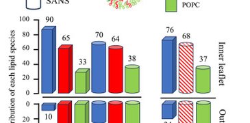 1 s2.0 S0006349524006635 fx1.jpg