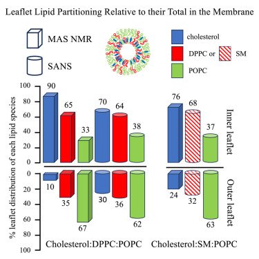 1 s2.0 S0006349524006635 fx1.jpg