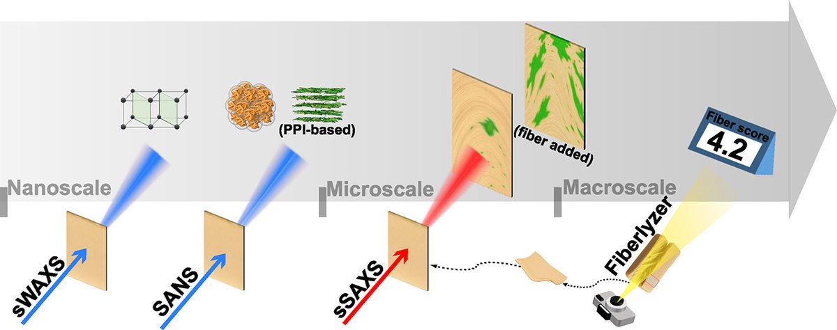 Illustration schématique de la structure des substituts de viande d'origine végétale, de l'échelle nanoscopique à l'échelle macroscopique, et méthodes de recherche correspondantes.