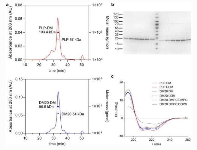 10.1007.s00018 022 04428 6.JPG