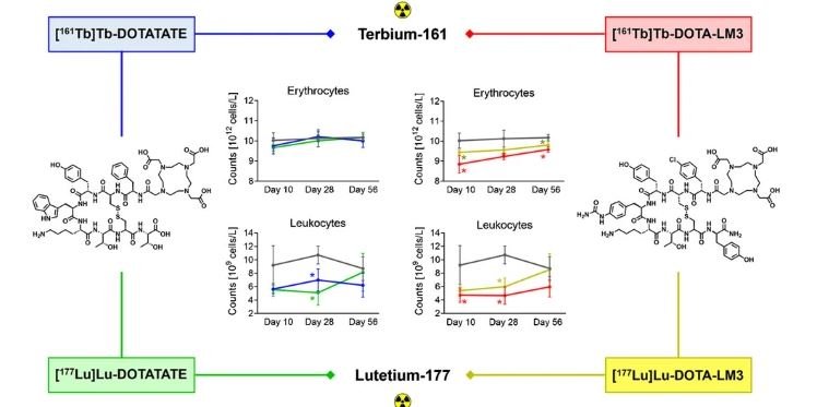 10.1007.s00259 024 06827 2.JPG