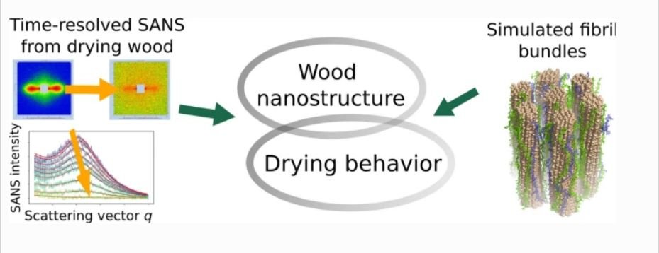 10.1007.s10570 021 04204 y.JPG