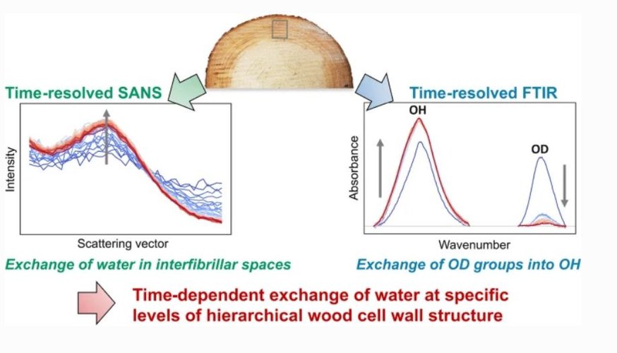 10.1007.s10570 021 04253 3.JPG