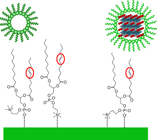 10.1021.acs.nanolett.6c01347