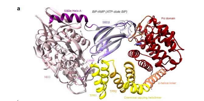 10.1038.s41467 021 25076 7.JPG