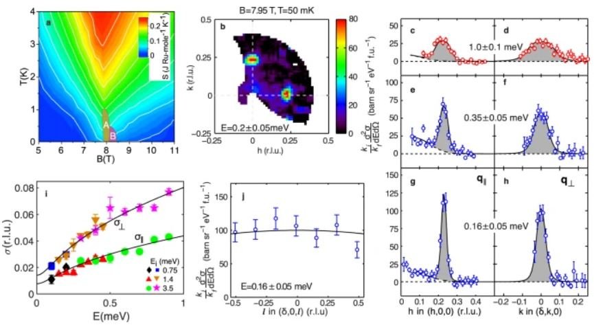 10.1038.s41467 021 26068 3.JPG