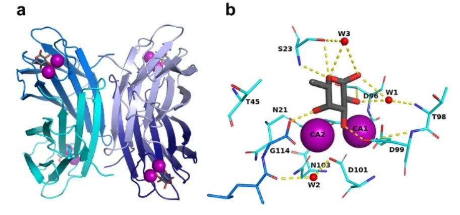 10.1038.s41467 021 27871 8.JPG