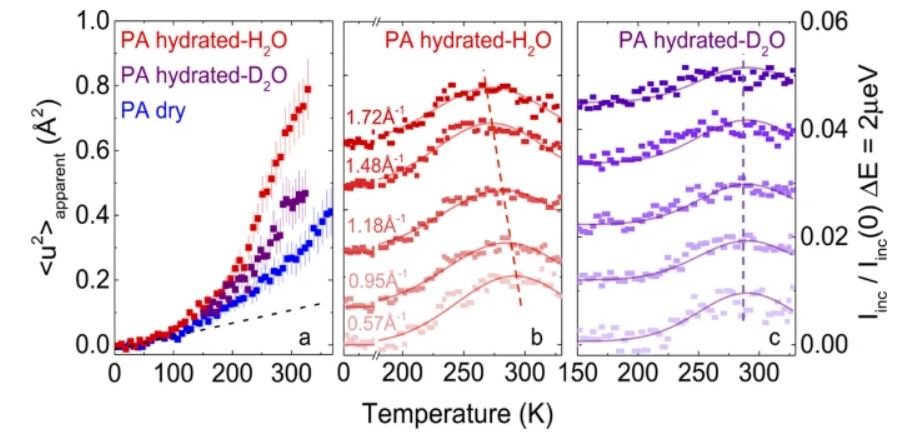 10.1038.s41467 022 30555 6.JPG