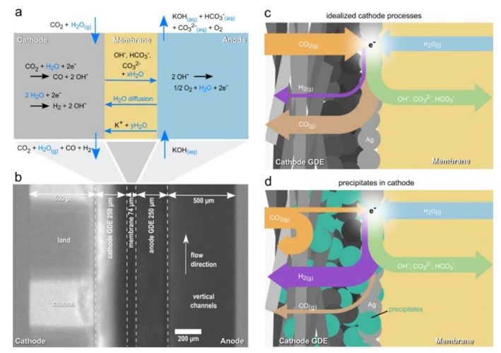10.1038.s41467 022 33694 y.JPG