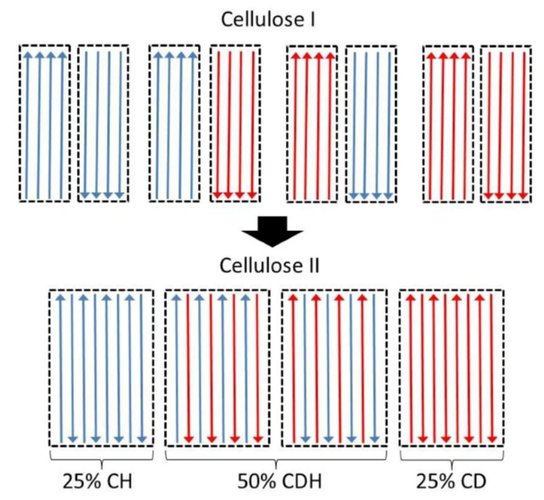 10.1038.s41467 022 33812 w.JPG