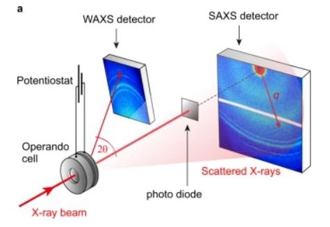 10.1038.s41467 022 33931 4.JPG