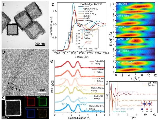 10.1038.s41467 025 55857 3.JPG