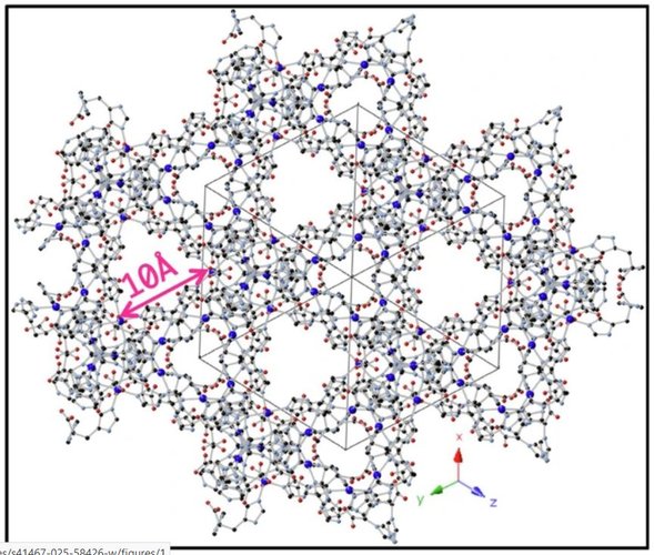 10.1038.s41467 025 58426 w.JPG