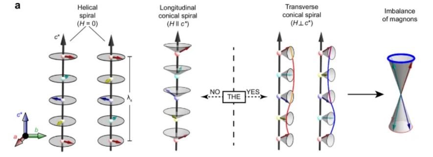 10.1038.s41467 025 58933 w.JPG