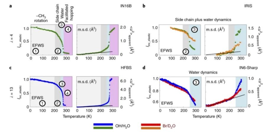 10.1038.s41563 022 01197 2.JPG