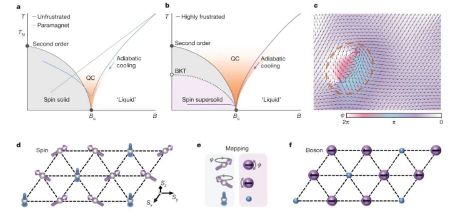 10.1038.s41586 023 06885 w.JPG