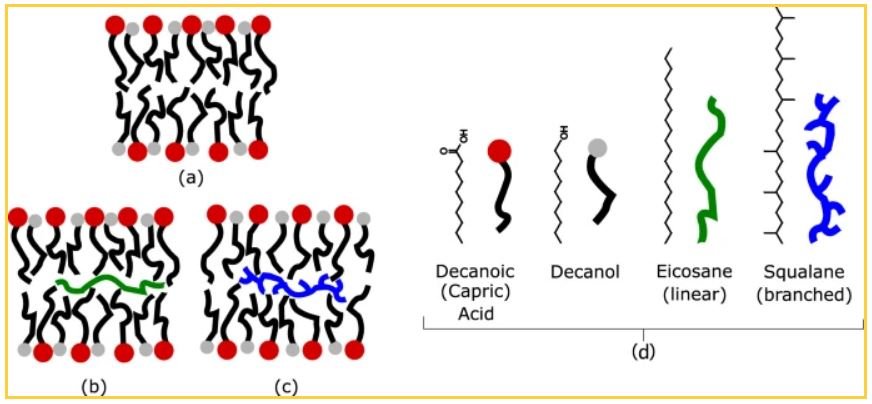 10.1038.s42004 021 00467 5.JPG