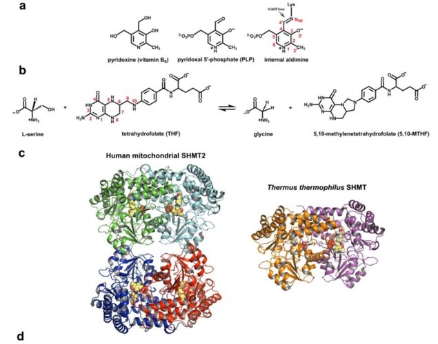 10.1038.s42004 023 00964 9.JPG