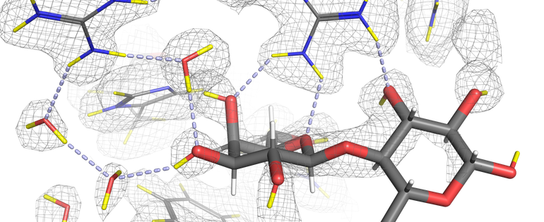 180724_Galectin.png