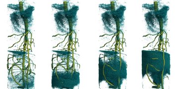 190930 Fast tomography_Rhizosphere2.jpg