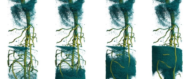 190930 Fast tomography_Rhizosphere2.jpg