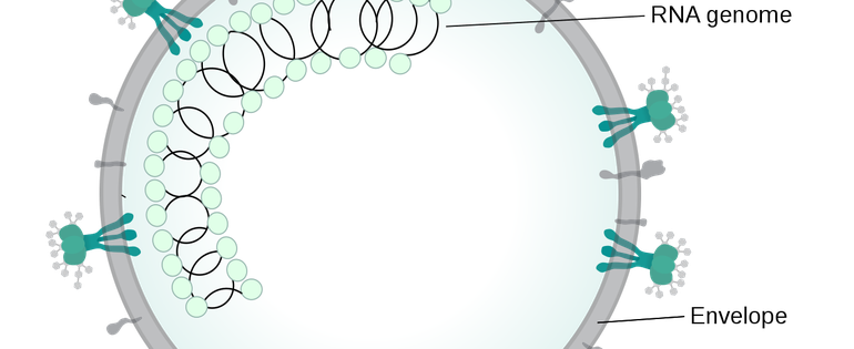 200327_LENS fighting Coronavirus.png