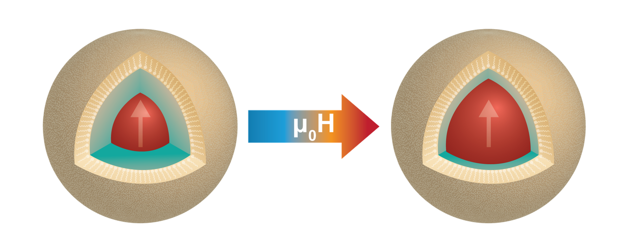 200727   Magnetic nanoparticles.png