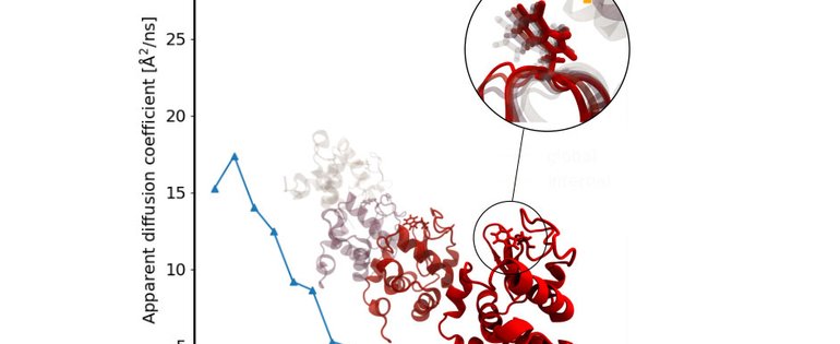 200812_IBS_ILL_highlight_4x3.jpg