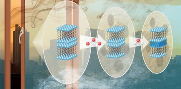 2022 09 23 Copyright Birmingham.jpg