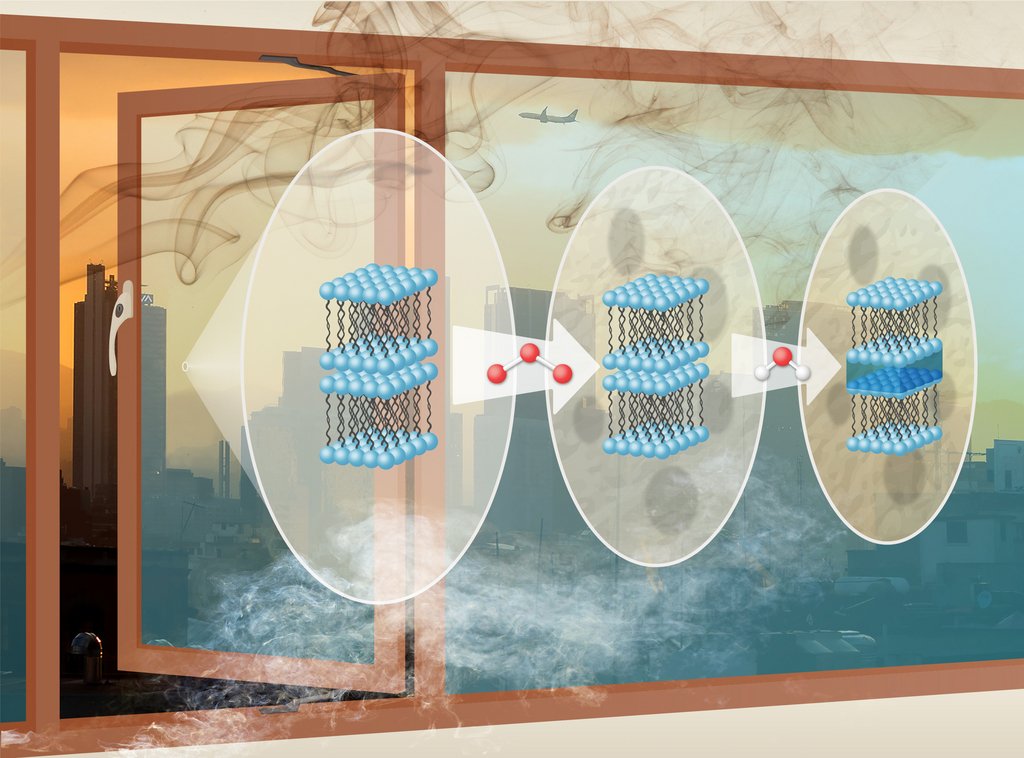 2022 09 23 Copyright Birmingham.jpg