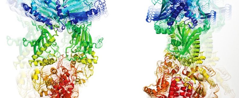 2024 BECK Protein dynamics Hsp90_image_950x540px.jpg
