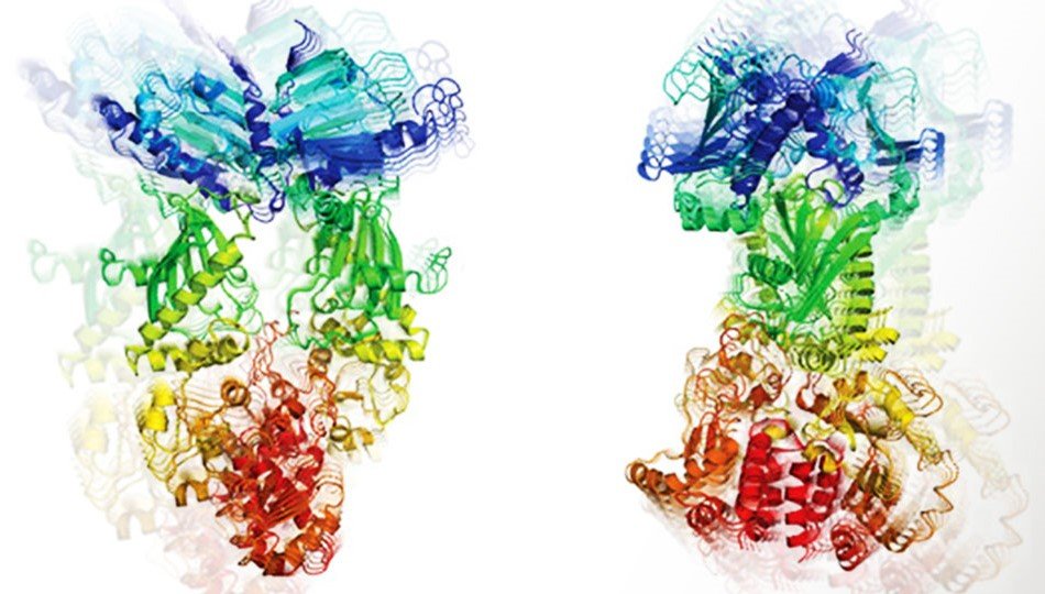 Protein dynamics: dancing at different rhythms — ill