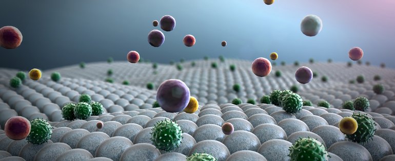 20240701 AntimicrobialPeptides LPorcar AdobeStock_98515861.jpeg