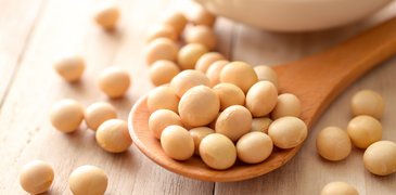 2025.12.12 PeaProteins AdobeStock_134589021.jpeg