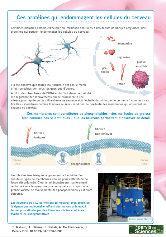 2025 poster parvis des sciences