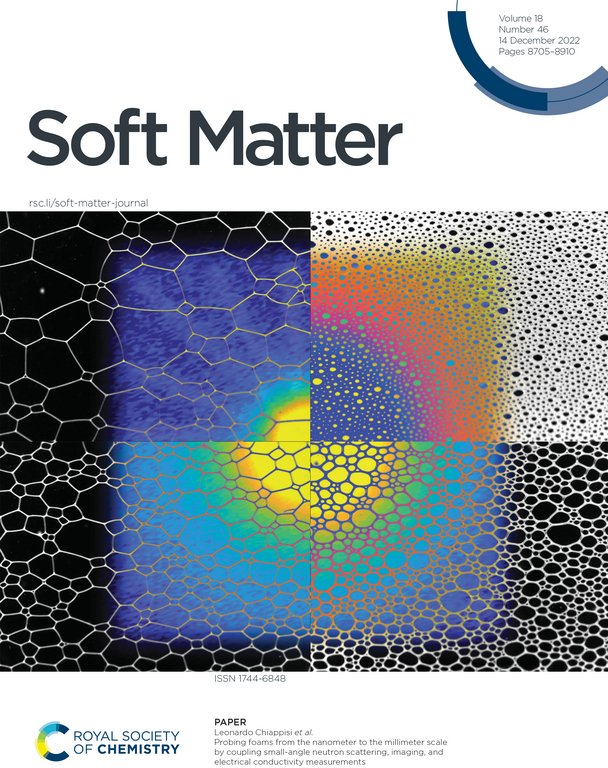 Front cover of the 46th issue of the Soft Matter journal.     Credit: S.Monfront, ILL
