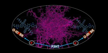 22 12 05 NFASC_MZbiri.jpg