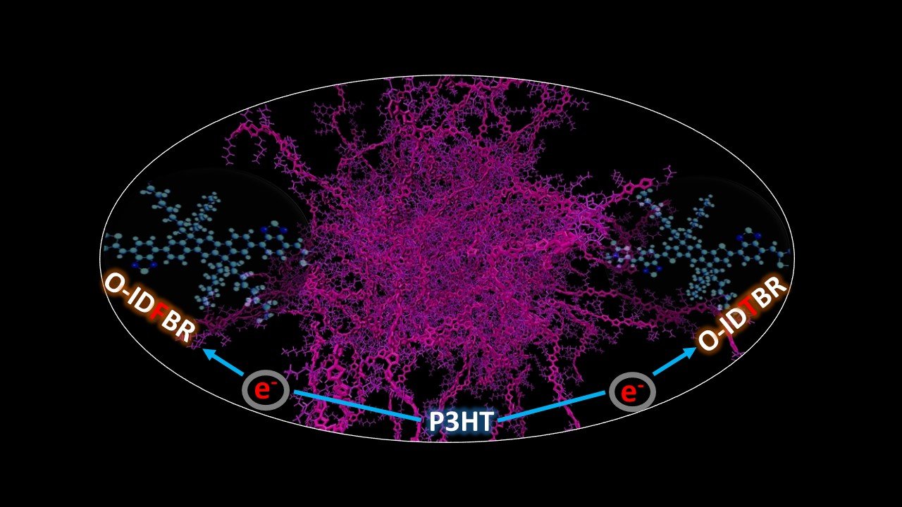 22 12 05 NFASC_MZbiri.jpg