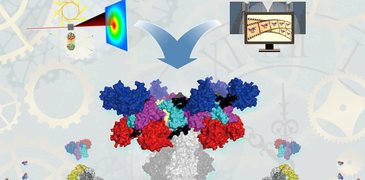 220310_KaiABC_study_ _integrated_approach.jpg