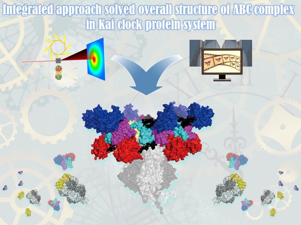220310_KaiABC_study_ _integrated_approach.jpg