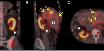220316 Muller Fig1.jpg