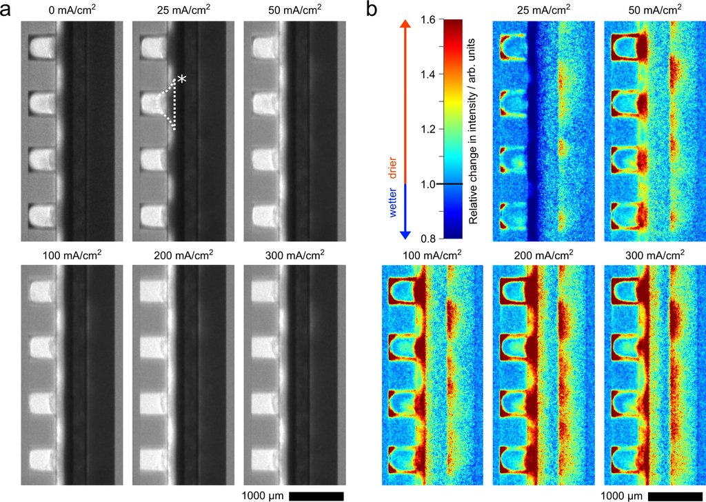 23 02 23 Electrolysis Fig3.jpg