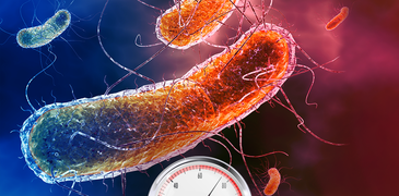 230130_Bact proteome_Cell death_vignette_4x3.png