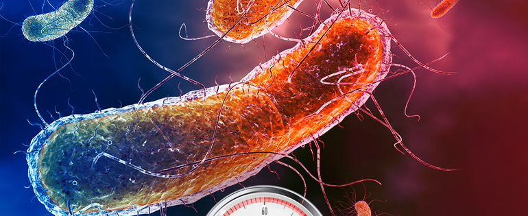 230130_Bact proteome_Cell death_vignette_4x3.png