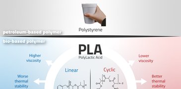 230426_Infog_PLA Linear vs cyclic.jpg